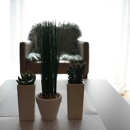 B231-aparthotel Vucko- Private Host דירה יהורינה