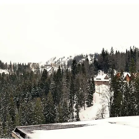 דירה B231-aparthotel Vucko- Private Host 4*